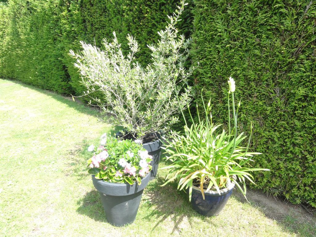 Bed & Breakfast Engelenhof Stevensweert